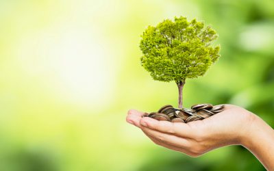 L’immobilier est-il un bon investissement en ce moment ?