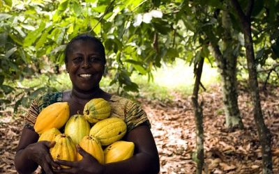 4 bonnes raisons d’investir dans l’agroalimentaire en Afrique